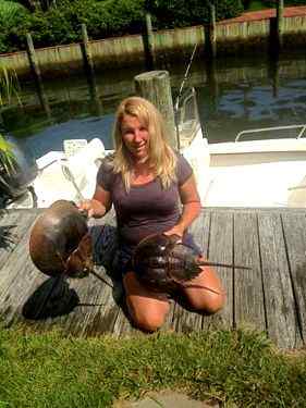 Kristina Howard holding two horseshoe crabs.